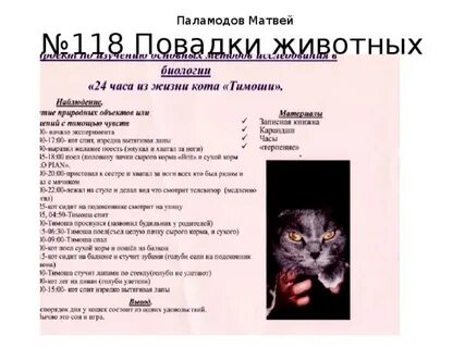 Какие повадки животных