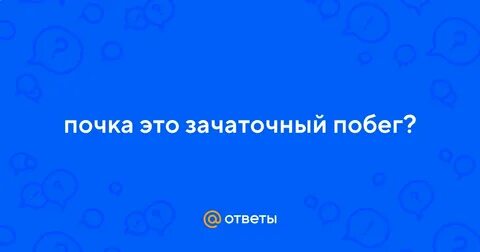 Почему почку можно назвать зачаточным побегом