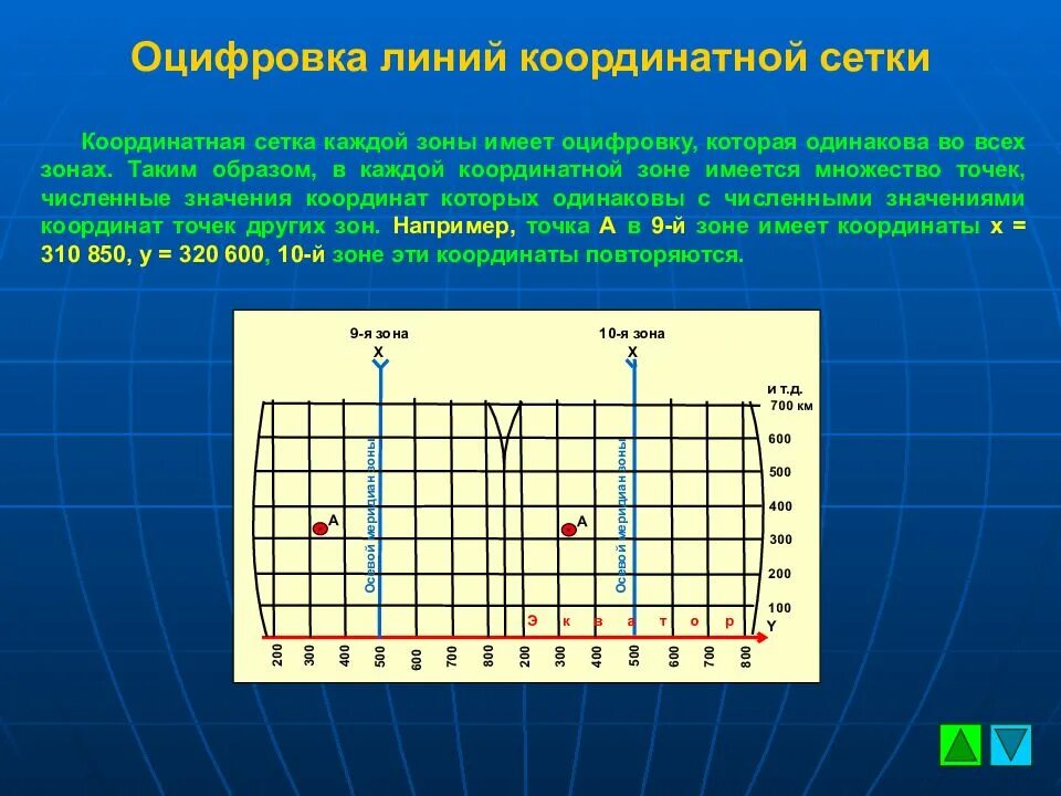 Координатная сетка. Линия координатной сетки. Дополнительная координатная сетка. Прямоугольная координатная сетка.