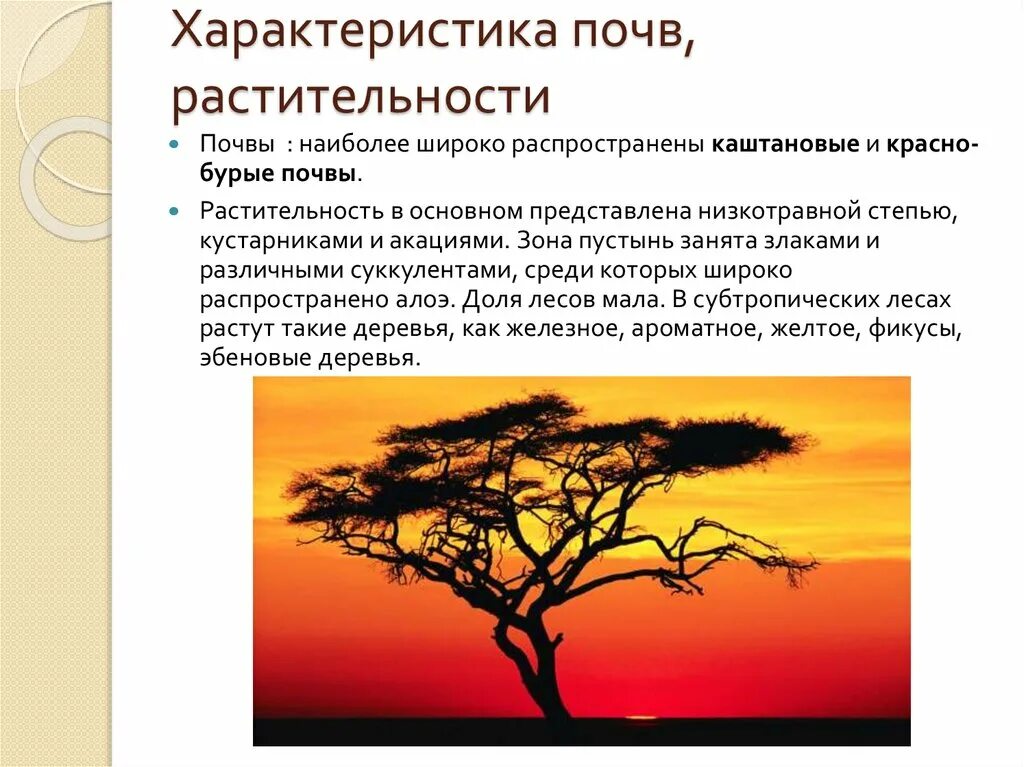 Растительность красно бурых почв. Красные ферраллитные почвы бразилии. Красно бурые почвы характеристика. Красно-бурые почвы саванн. Красноземные и желтоземные почвы.