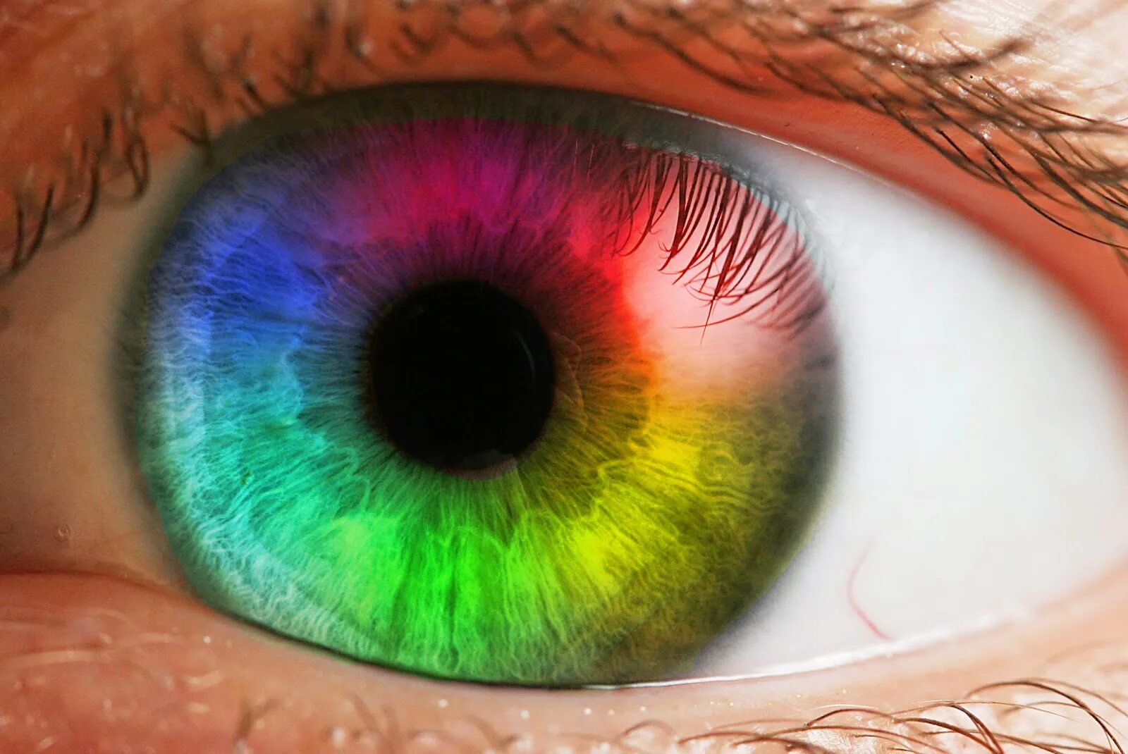 Что говорит о тебе цвет глаз. Радужной оболочки глаза. Латанопрост изменение цвета глаз. What your eyes say. Chuck hazel цвет глаз.