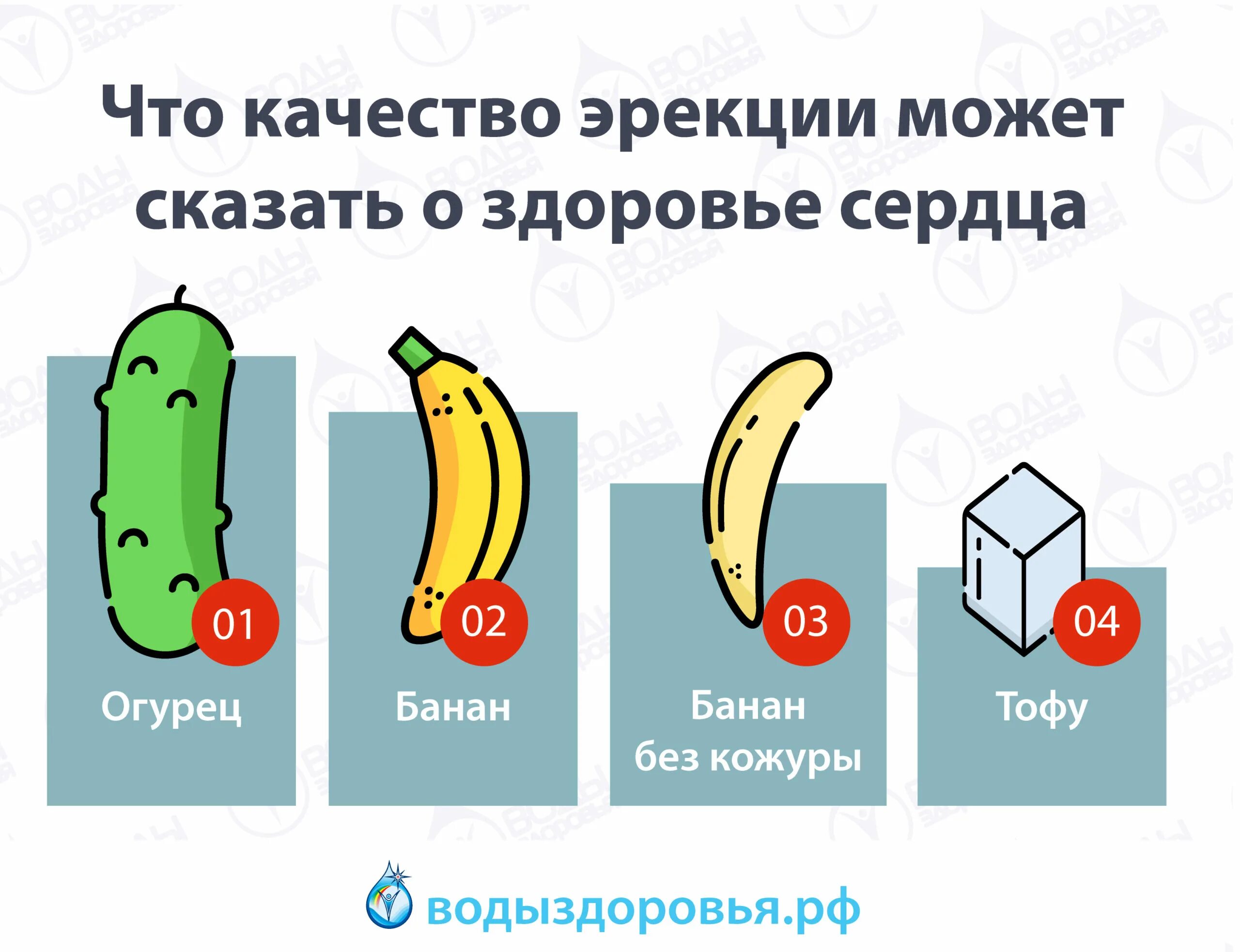 Степени твердости эрекции. Шкала качества эрекции. Нормальный вид полового члена. Формы мужского полового члена.