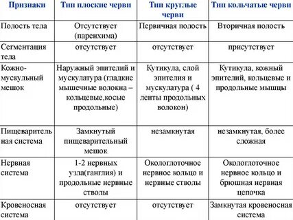 Признаки червей плоские круглые кольчатые