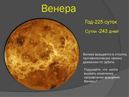 Год в земных сутках