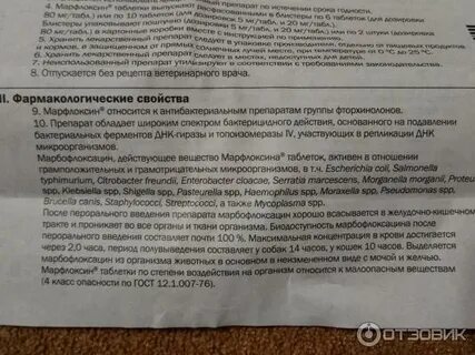 Ципрофлоксацин таблетки до еды или после