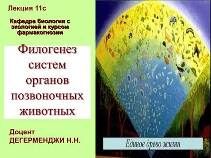 Факультет биология экология