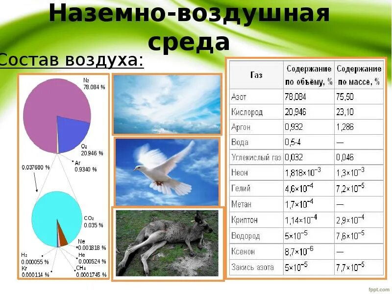 Наземно-воздушная среда. Назеиновоздушная среда. Плотность наземно-воздушной среды. Состав наземно воздушной среды.