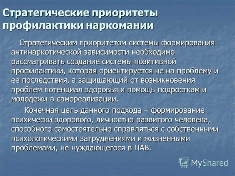 Организация профилактики наркомании