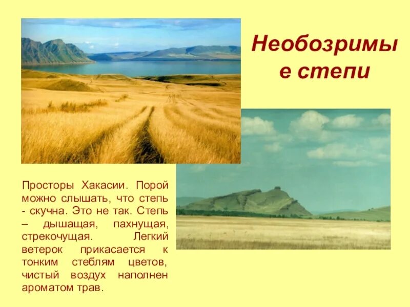 Богатства степей. Постер степь. Плакат степь. Природные богатства степей. Главное богатство степей