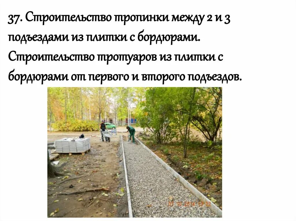Тсж вертикаль