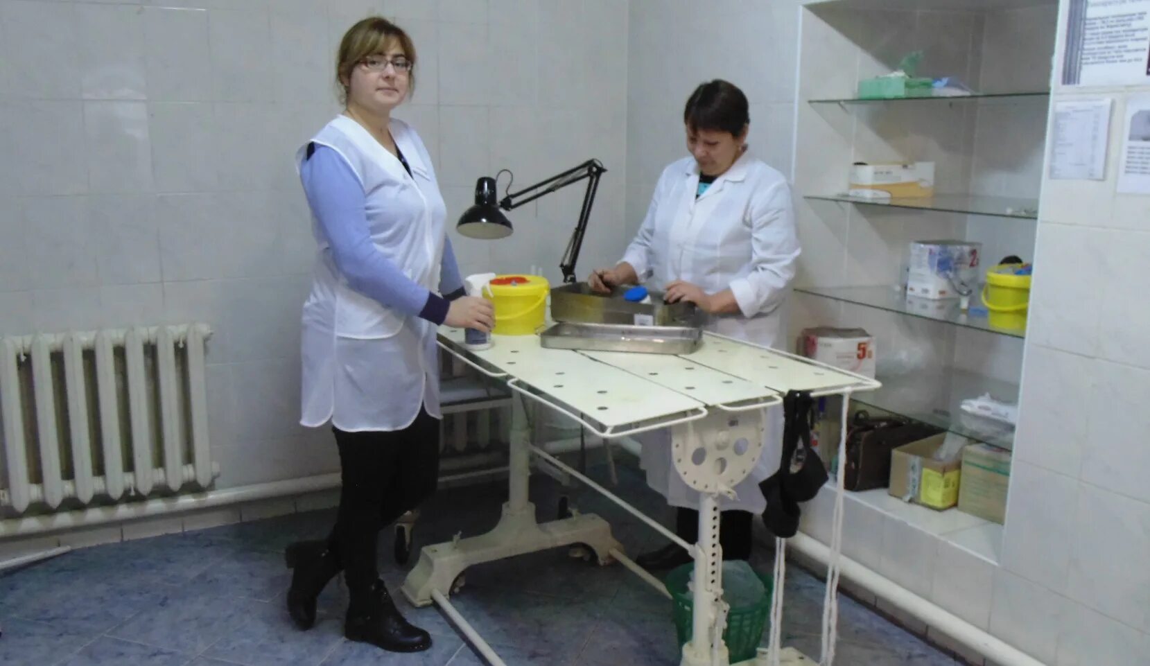 ул дачная 13а нижний новгород. клиника зеленоградская сббж. сббж со. ветлечебница мурино. ветеринарная клиника кот и пес кинешма.