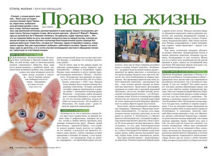 Коту 9 лет