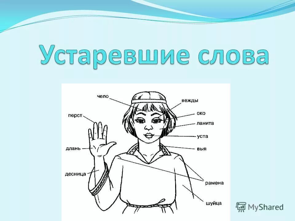 Какие слова архаизм. Устаревшие слова. Устаревстаревшие слова. Архаизмы. Устаревшие слова рисунки.