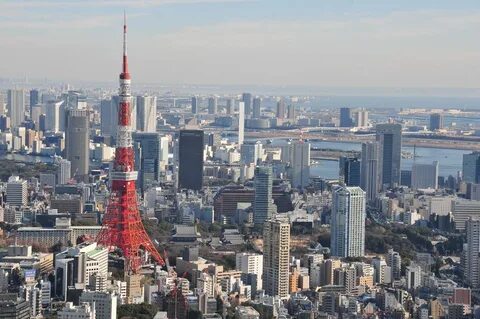 Looking tower