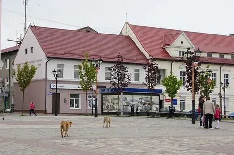 Погода в гвардейске