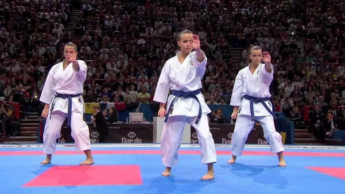 Карате ютубе. Карате. Карате ютубе. Боевые искусства карате. Карате видео.