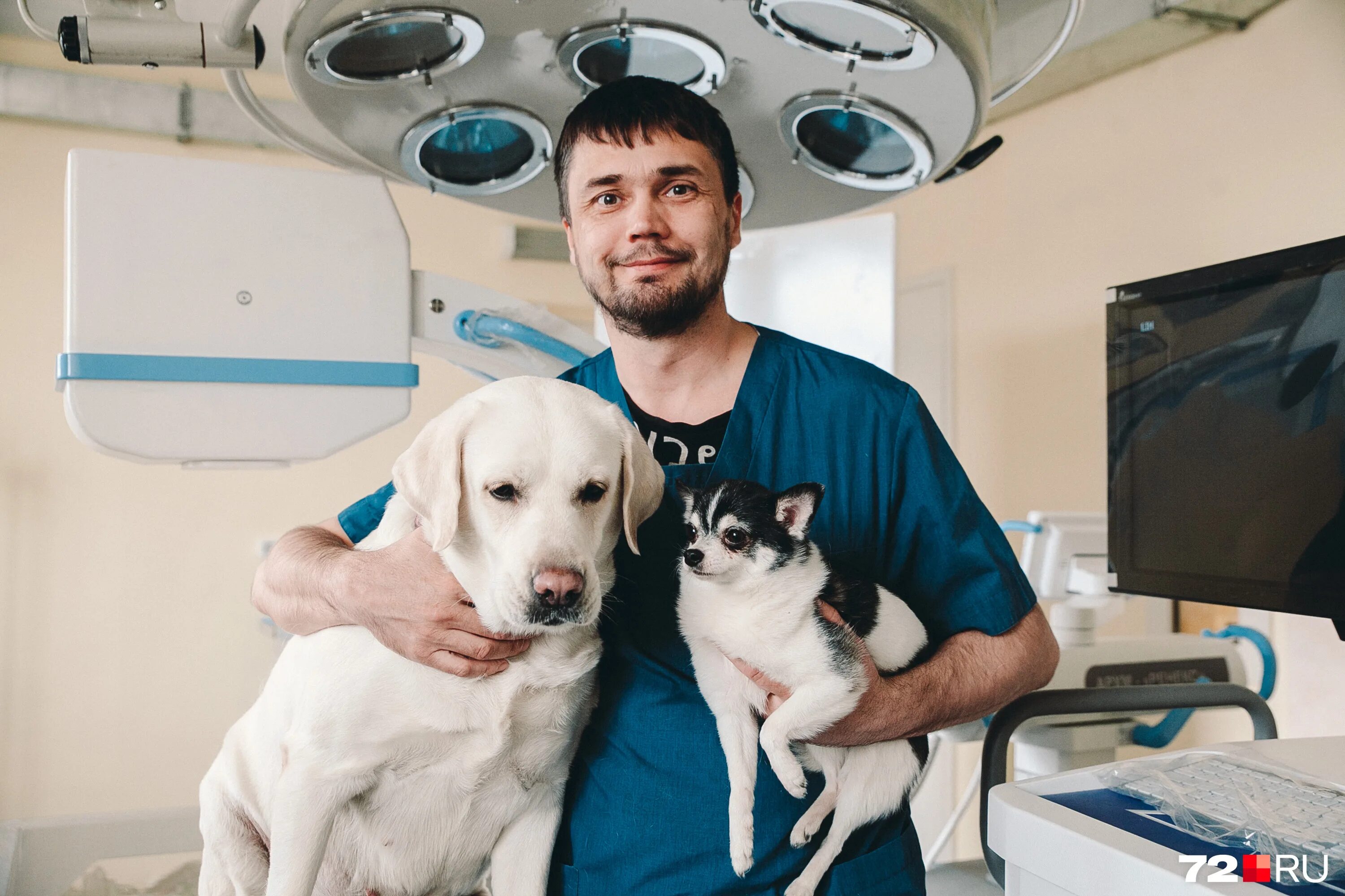 царёв иван андреевич ветеринар. ветеринар новосибирск александр якимкин. блинова мария владимировна ветеринар. ветеринарная клиника тюмень олимпийская 28а. емельянов дмитрий ветеринар тюмень.