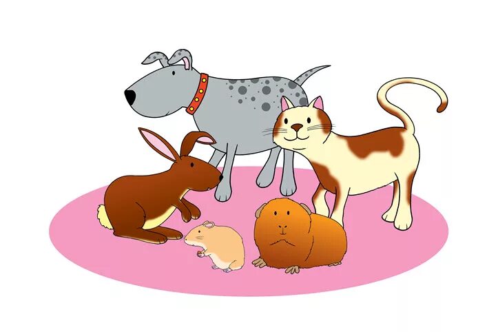 открытые занятия в доу картинка. картины для рассматривания в младшей группе. открытое занятие по животным. дикие животные первая младшая группа. рассматривание в доу.