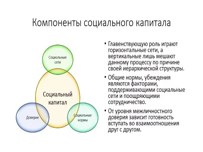 Человеческим капиталом социально экономическое