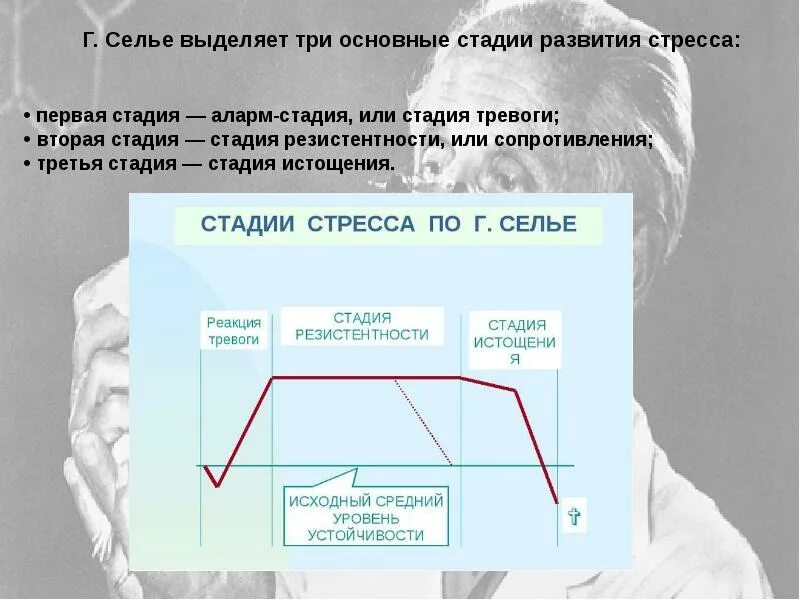 Три фазы стресса по г. Селье. Динамика развития стресса Ганса Селье. Три стадии стресса Ганса Селье. Стадии стресса Селье. 7 дней 3 этапа