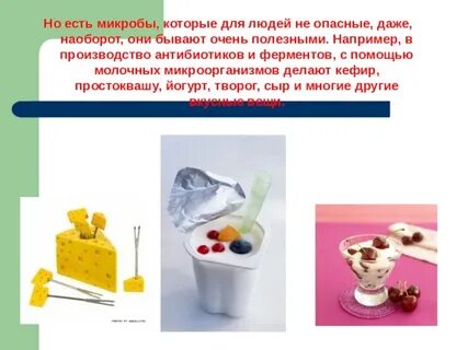 Бактерии наши друзья и враги