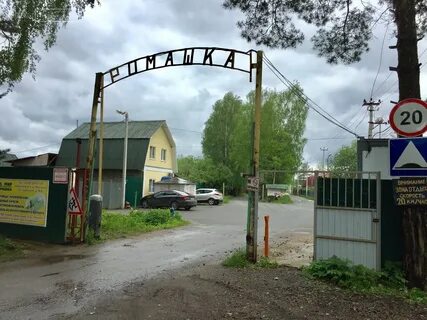 Московская область снт ромашка