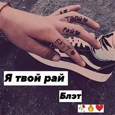 Твои раи