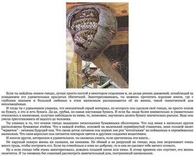 Рассказ не семейка а осиное гнездо
