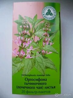 Лучшие почечные чаи