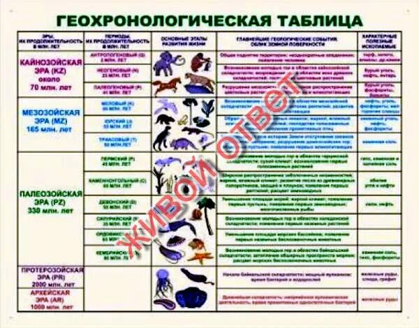 Используя фрагмент геохронологической таблицы установите