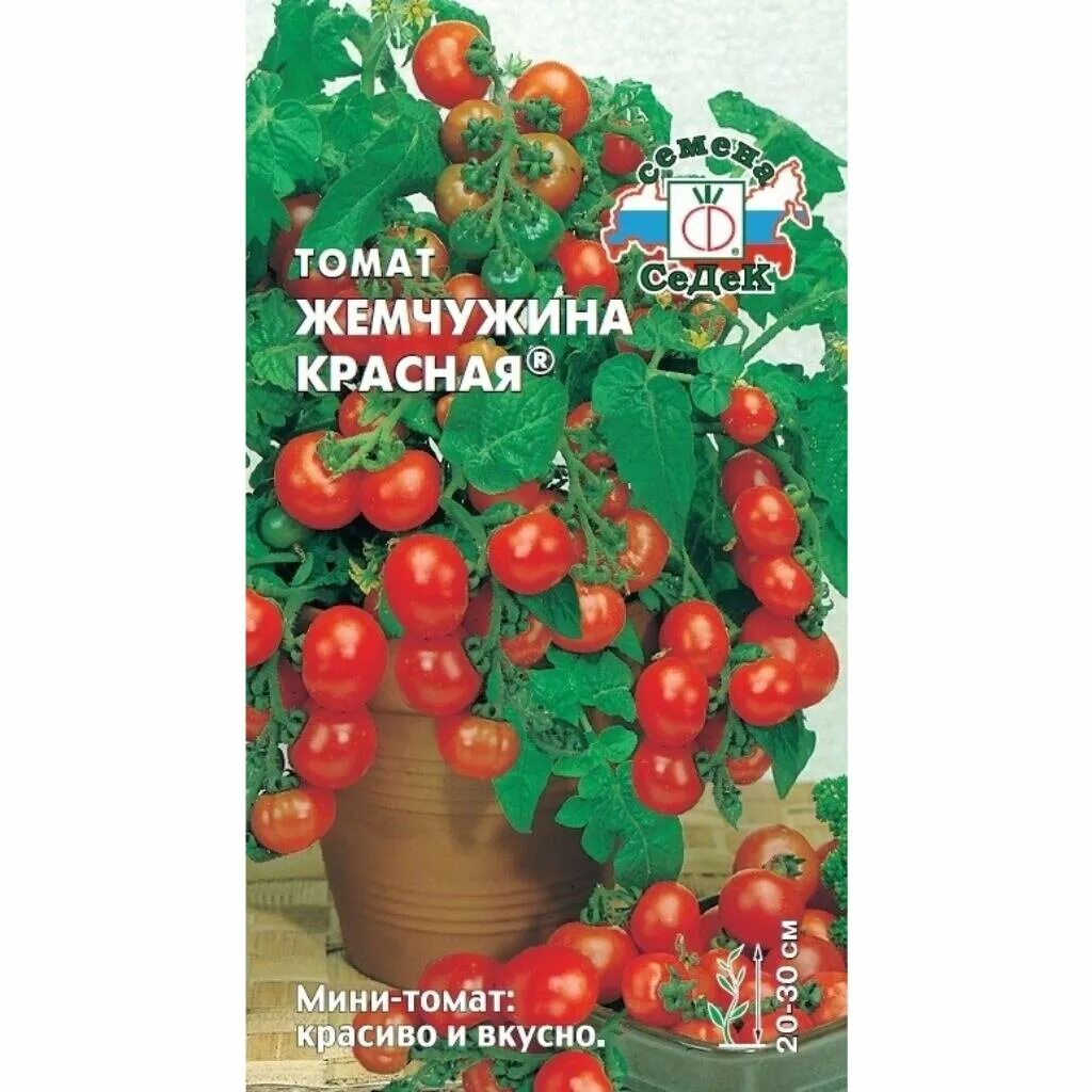 Семена томатов седек. Томат Жемчужина красная 0,1г СЕДЕК. Черри красная Жемчужина. Томаты черри Жемчужина. Мини томат Жемчужина красная.