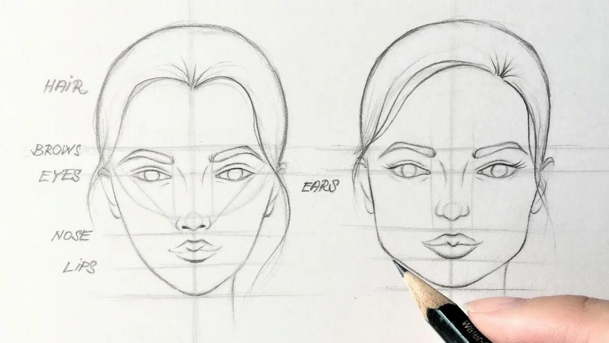 Карандашом нарисовать лицо девушки поэтапно для начинающих. Рисунки лица человека для начинающих. Этапы рисования лица. Правильное рисование лица. Портрет в карандаше для начинающих поэтапное рисование.
