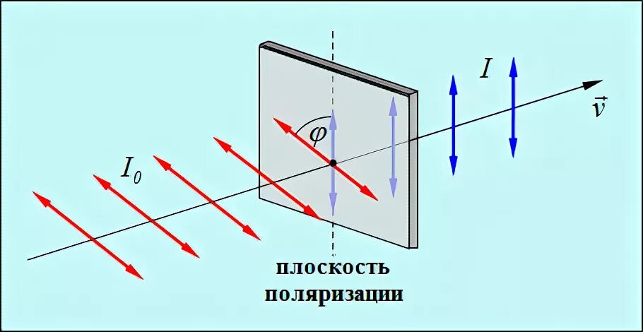 Что значит поляризация