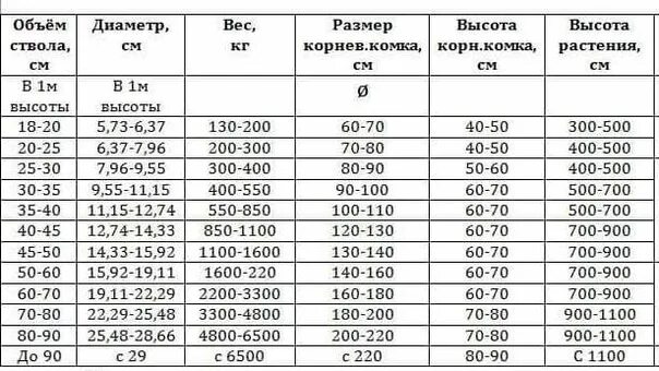 В среднем 3 3 м3. Вес пней в зависимости от диаметра. Масса дерева по диаметру ствола. Вес дерева диаметром 16 см. Объемный вес пня.