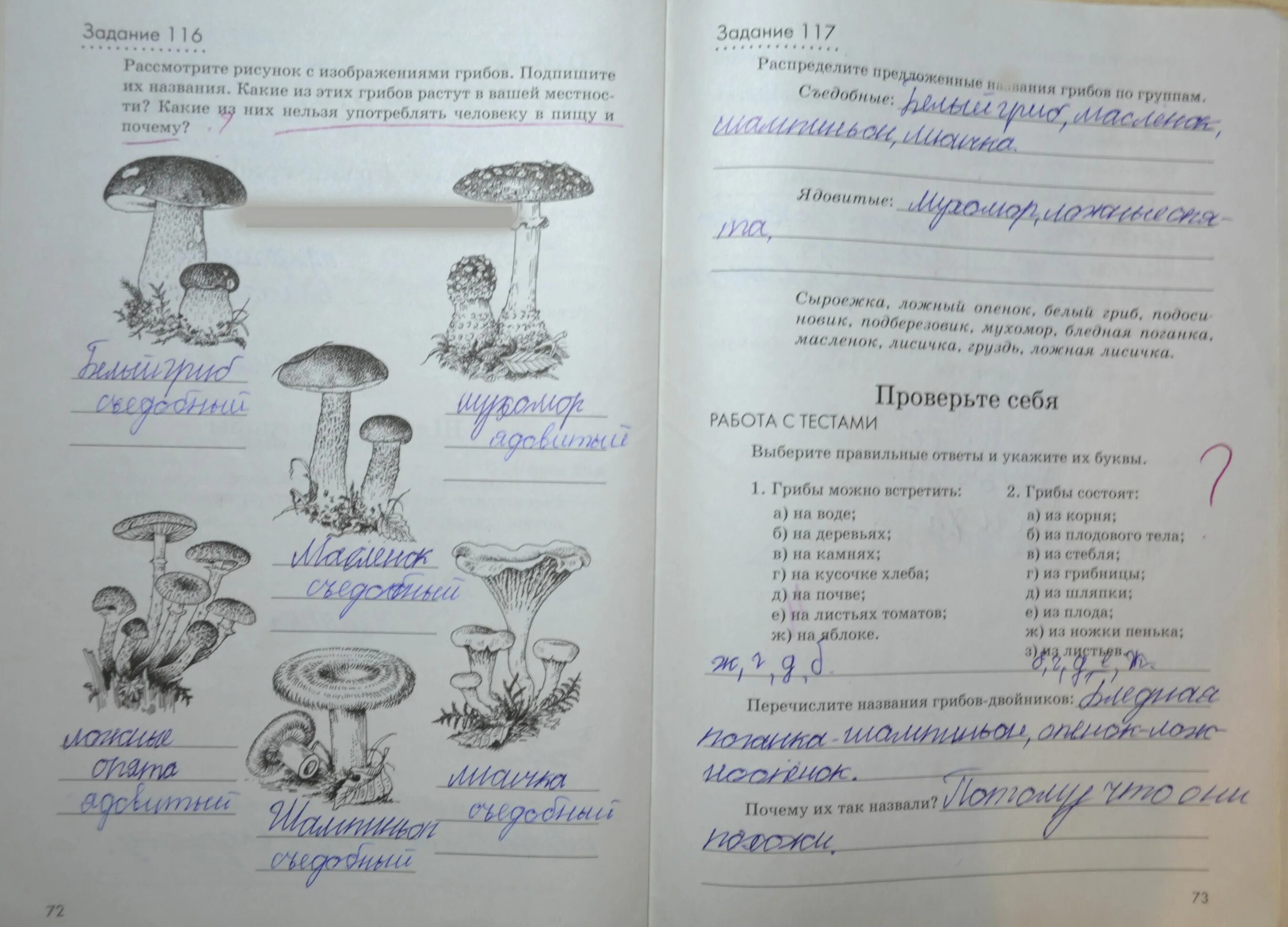 Биология 5 класс стр 120. Грибы рабочая тетрадь 5 класс. название грибов 1 класс рабочая тетрадь. грибы 1 класс русский язык. 5 рабочая тетрадь по биологии грибы.