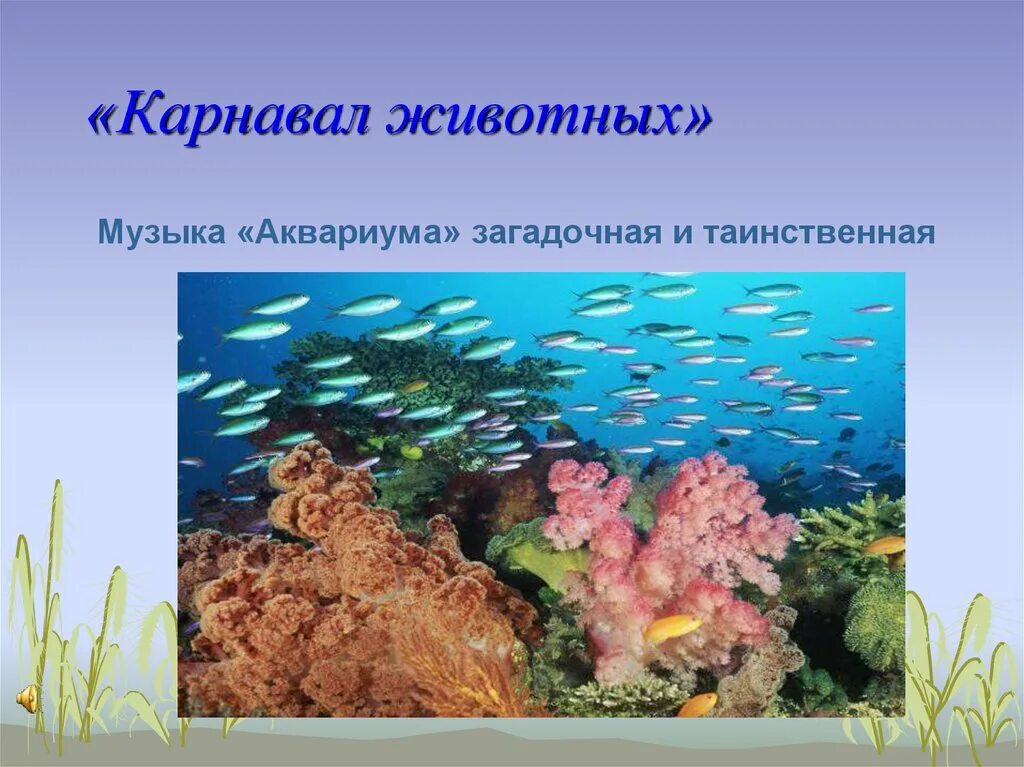 Обитатели песня. Сен Санс аквариум. Карнавал животных аквариум. Сен-Санс карнавал животных аквариум. Сен Санс аквариум картинки.