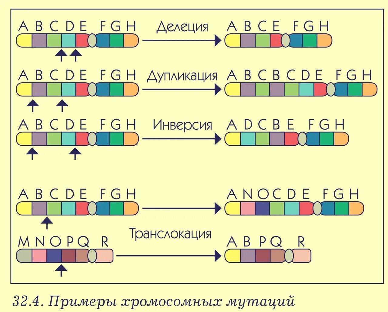 Штаммы коронавируса. Мутационная изменчивость это в биологии 9 класс. Вирусы эстетика. Мутации 2023. Дорама поезд сюжет.