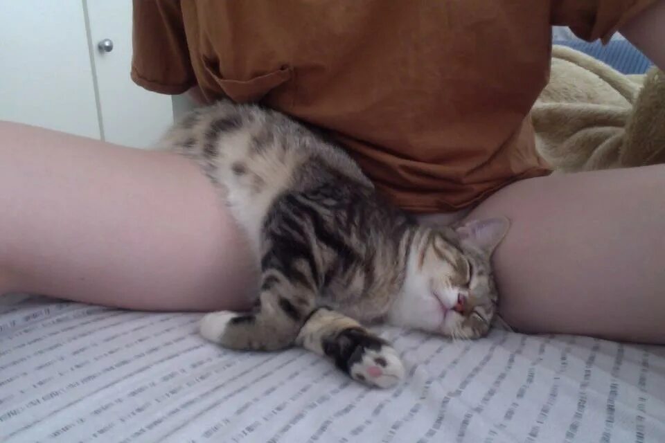 Девушка с котом на руках и голой киской между ног фото