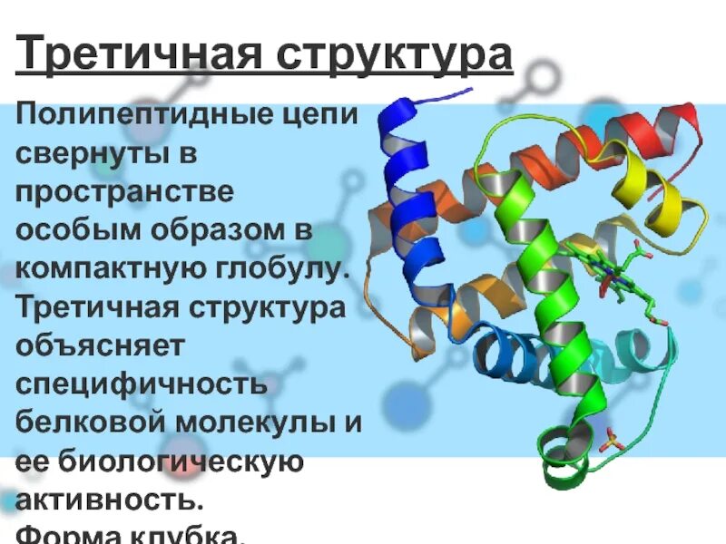 Структура белка представленная глобулой. Третичная структура белка глобула. Полипептидная цепь свернутая в клубок. Глобула из одной полипептидной цепи. Свёрнутые полипептидные цепи глобулярных белков образуют.