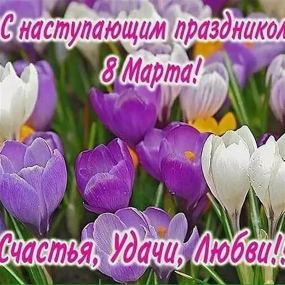 Открытки с наступающим 8 марта. С наступабшим праздником 8марта. С наступающим 8 марта. 8 марта. Наступающий праздник весны.