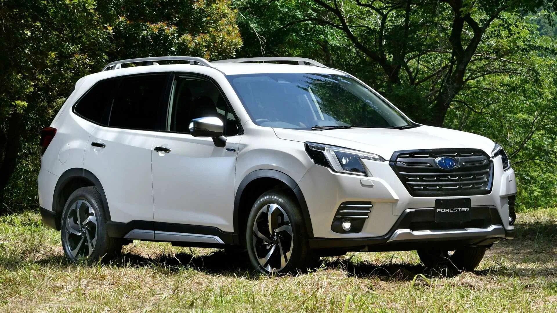 Субару Форестер 2023. Субару Форестер 2022. Новый Субару Форестер 2023. Subaru Forester 2022 Premium es. Новый субару форестер 2024 цена