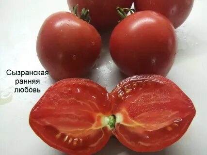 Минусинский кистевой томат отзывы