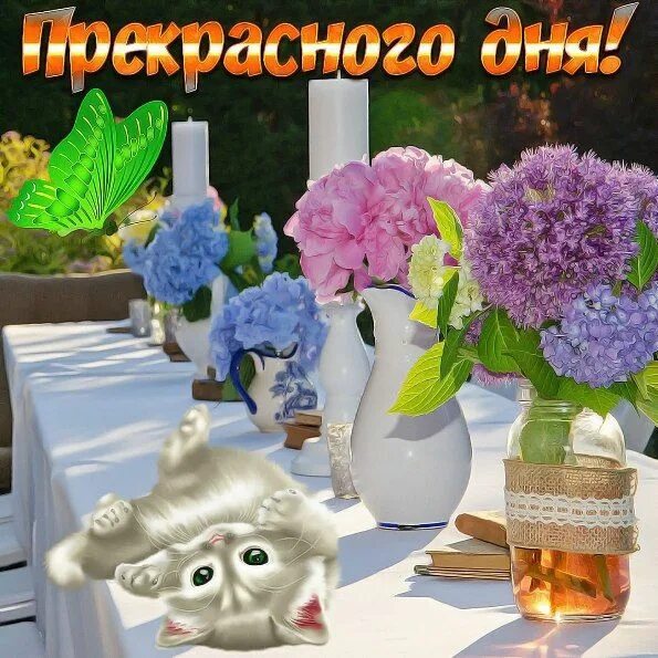 Добрый день хорошего дня необычные картинки Pin on С добрым утром! Good morning, Good morning flowers, Flower images free