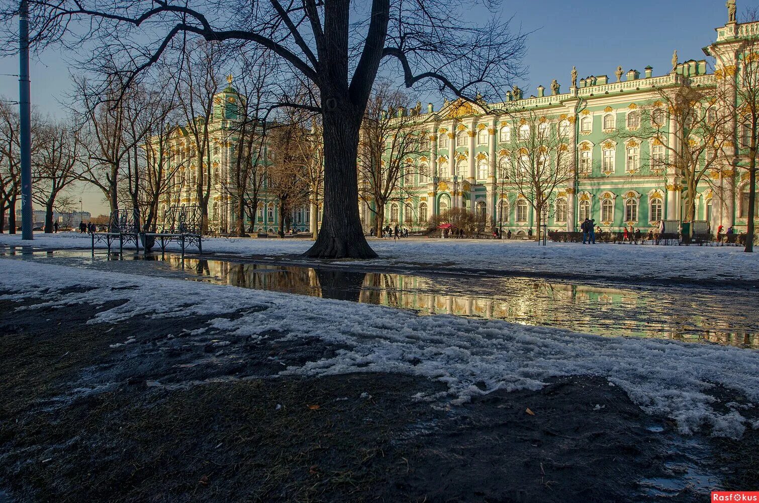 Звезды весеннего петербурга
