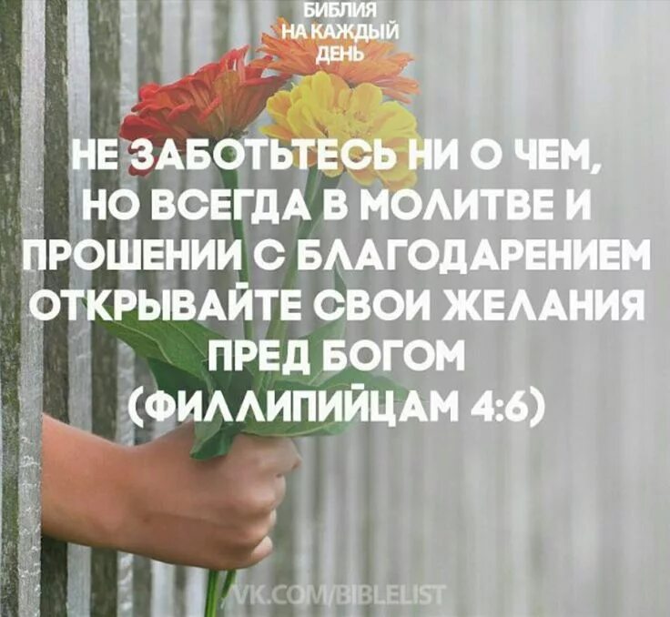 Открывайте с благодарением свои желания. Открывайте свои желания перед богом. Открывайте с благодарением свои желания. Открывайте с благодарением свои желания. Мир превыше всякого ума.