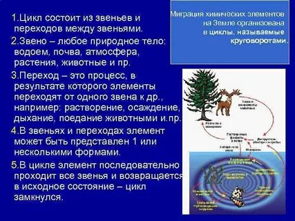 Циклы миграции