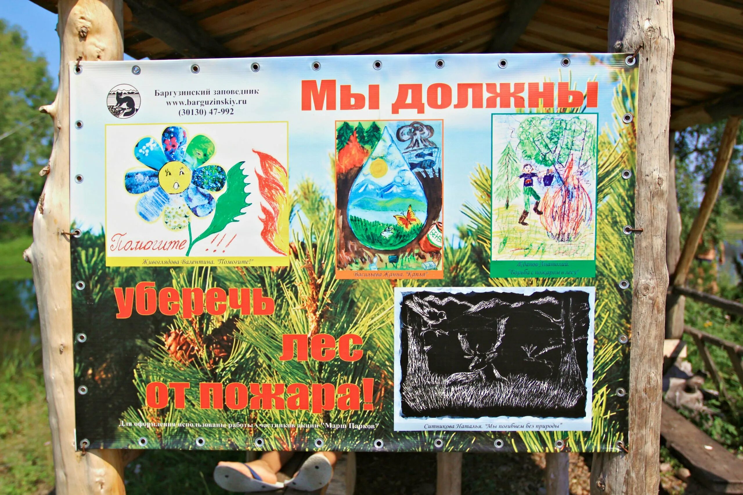 Рисунок символ всероссийский день заповедников и национальных. Всероссийский день заповедников символ. всероссийский день заповедников и национальных парков символ. баргузинский заповедник логотип. символ баргузинского заповедника.