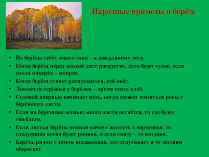 Приметы деревья