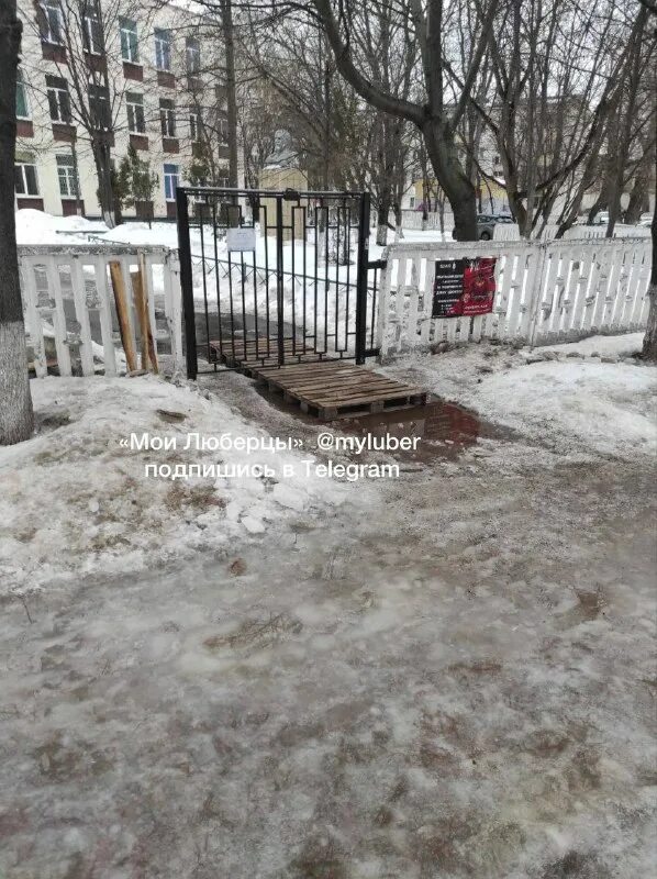 мои люберцы телеграмм