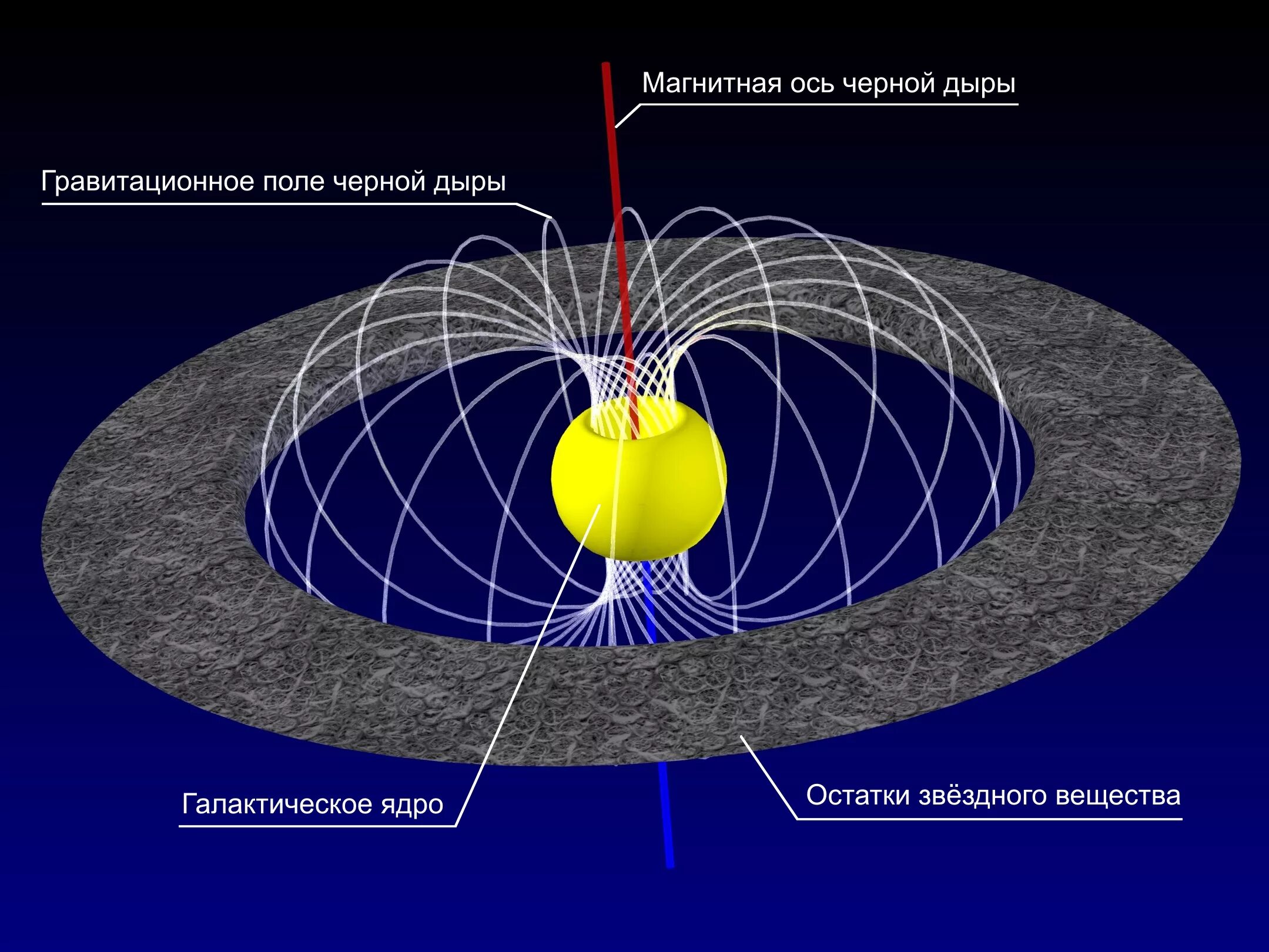 Где находится притяжение. Схемы строения чёрных дыр. Структура черной дыры схема. Строение черной дыры схема. Черная дыра схема.